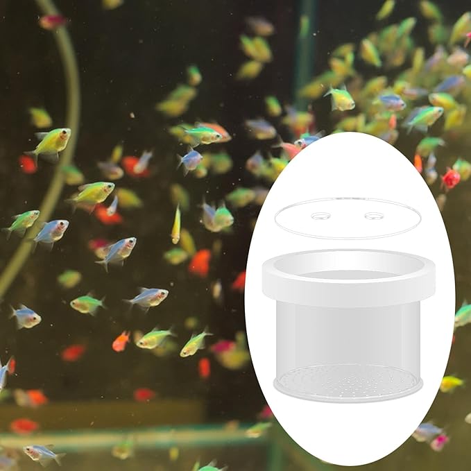 Floating Fish Breeder Box Round Spawning Box Acrylic Fish Isolation Box Hatching Box for Betta Clownfish, Baby Fish Guppy Fry, 15cmx12cm
