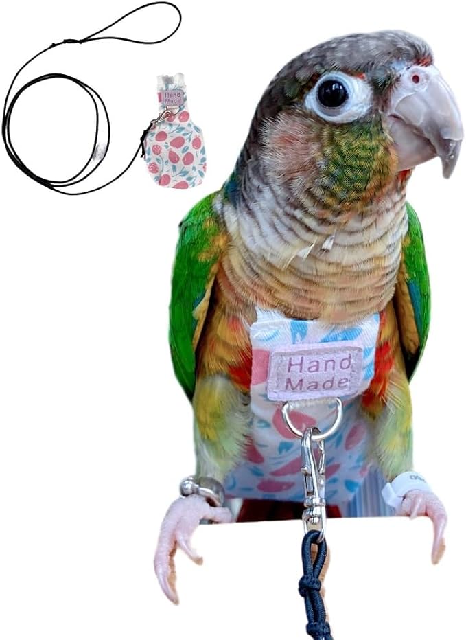 Bird Clothes Parrot Diapers Bird Flight Suits, Reusable Waterproof Diapers pet Bird Supplies (Without Rope, XL)