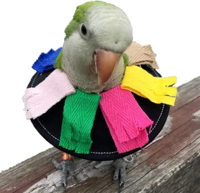 Adjustable Bird Collar Anti Bite Elizabethan Recovery Cone, Bird Neck Protector for Feather Plucking, Skin-Friendly Bird Neckwear Full Body Shield for Parakeet Conure Cockatiel (L), Black