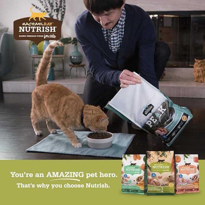 Rachael Ray Nutrish Purrfect Entrees Natural Wet Cat Food, Wild Caught Salmon, 2 Ounce Cup (Pack of 12), Grain Free
