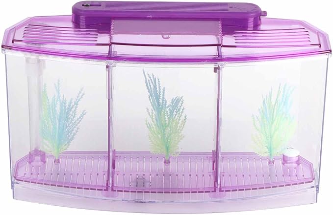 Rengue Fish Breeder Box for Aquarium TripleChamber Fish Breeder Box for Aquarium, Transparent LED Acrylic Small Fishes Breeding Isolation for, Transparent LED Acrylic (Purple)