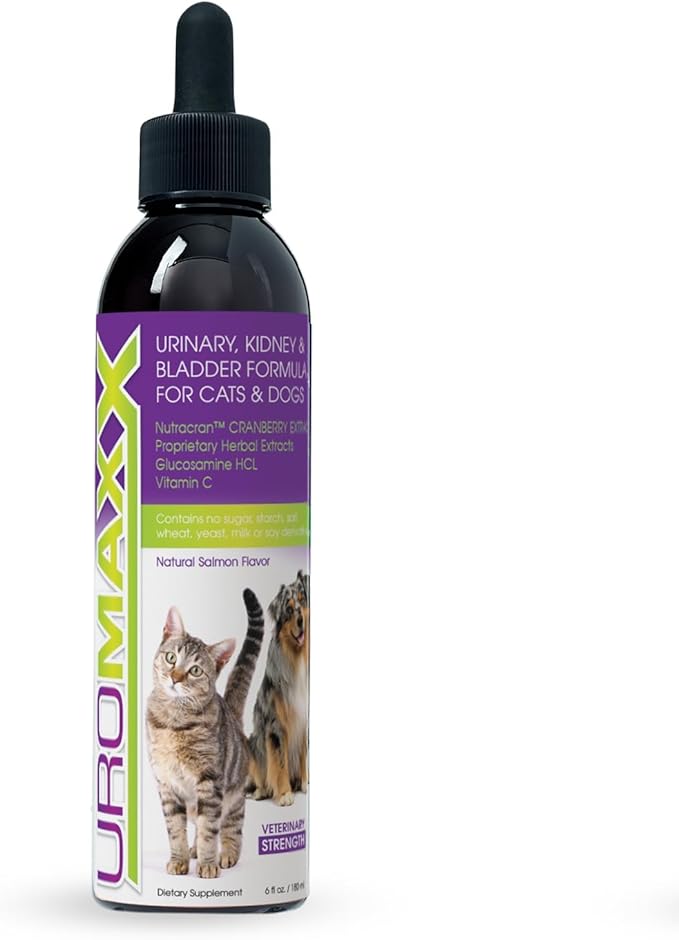 Cat & Dog Urinary Tract Treatment, Bladder & Kidney Support for Dogs and Cats, Powerful Yet Gentle Pet Care, with Liquid Cranberry & Glucosamine, Salmon Flavor, 6 oz Bottle, 1 Pack