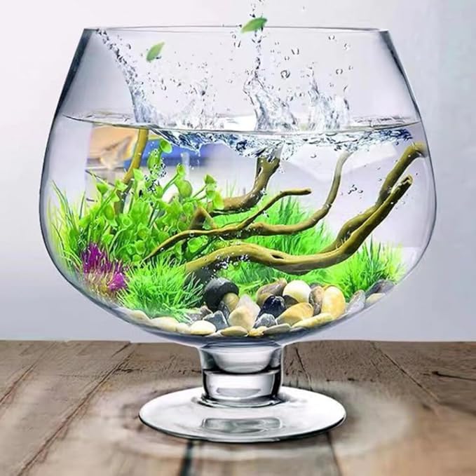 POPETPOP Transparent Multi-Function Betta Tank Decorative Desktop Aquarium for Plants Vase for Home Office Decor Unique Design