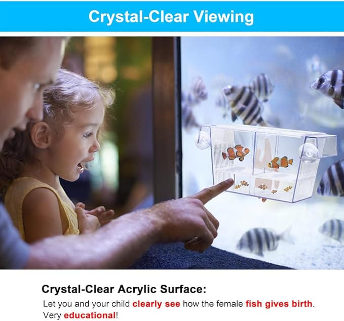 Fish Breeding Box Aquarium Holding Tank Transparent Fish Isolation Box Acclimation Hatchery Incubator Breeder for Betta Shrimp Clownfish Guppy