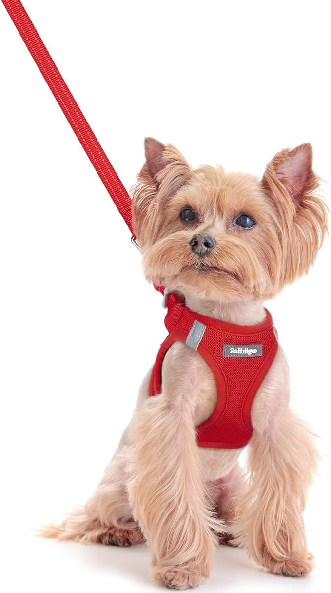 rabbitgoo Dog Harness Small Sized and Leash Set, Step in Soft Light Puppy Vest, Breathable Mesh Pet Harness, Reflective for Safe Easy Walking, Red XXS