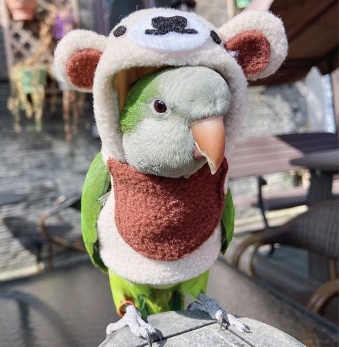 Bird Costume Bird Diaper Flight Suit Bird Bear Shape Bird Clothes Cosplay Photo Prop for Parrots Lovebird Parakeet Cockatiel Small Animals Apparel (Without Diaper,Sun Conure)