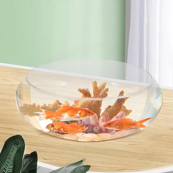 VOSAREA Betta Tank Water Lily Bowl Planter Lotus Hydroponic Container Succulent Bowl Clear Glass Fish Tank Bowl Chinese Daffodil Pot Aquatic Plant Pot Round Shallow Planter L
