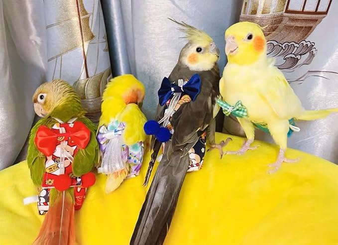 Bird Flight Suit Diapers for Monk Parakeets, Cockatiels - Parrot Clothes, Training Nappy Suit Liners (Medium, Blue-B)