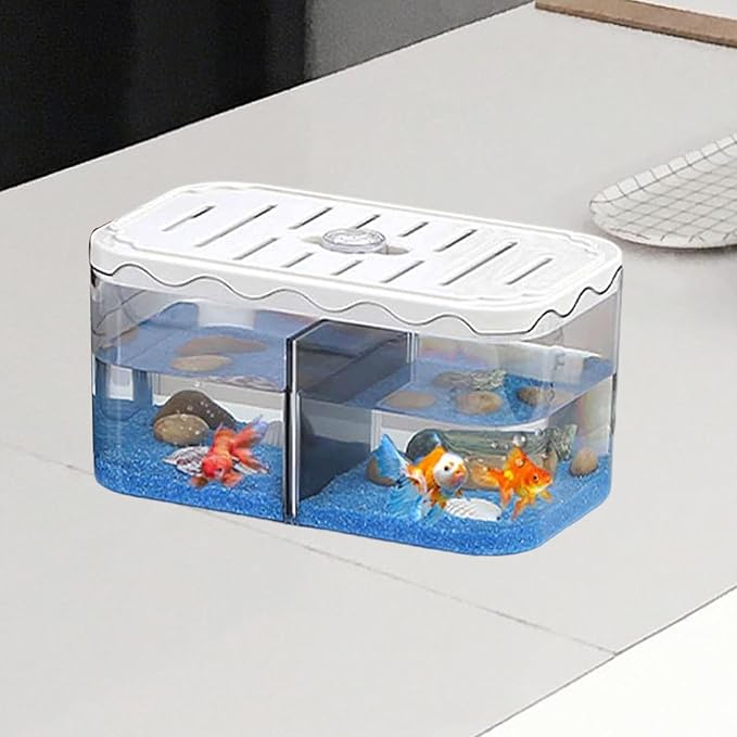 Aquarium Breeding Box Small Fish Tank Multifunction Table Centerpieces Acclimation Hatchery for Clownfish Home, White