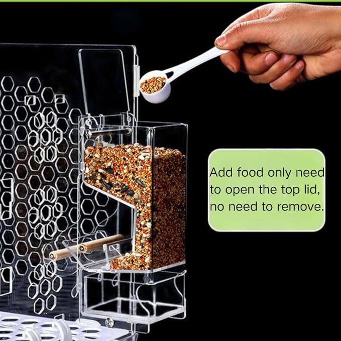 Automatic Bird Feeder, No Mess, Transparent Acrylic, Reducing Waste, Bird Cage Accessories for Parakeet, Canary, Cockatiel, Finch, Conure
