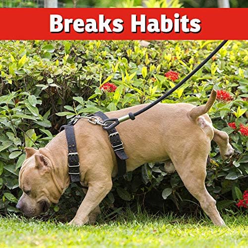 IMUSTGARDEN Dog and Cat Repellent: All Natural Spray to Stop Chewing and Repel from Yards, Plants, and Gardens – 1 Gallon Ready-to-Use Refill