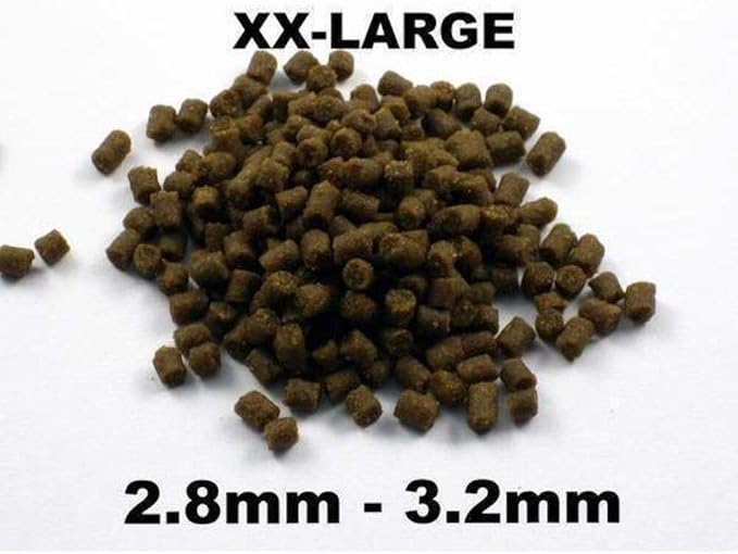 Bassleer Regular BioFish Food - Formulated for Optimal Fish Health (XX-Lrg, 170g)
