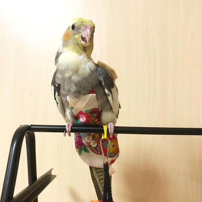 Bird Flight Suits Diapers, Parrot Flight Suits Diapers for Quaker Parakeets Cockatiels Flight Suits, Parrot Clothes (Red,M)