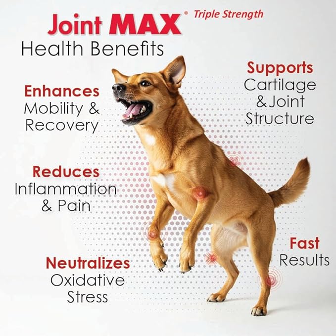 TS Joint Supplement Vet Formulated Pain & Inflammation Relief Treats Hip Dysplasia & Arthritis.Glucosamine, Chondroitin, Turmeric, MSM, HA, Creatine, Omega 3 EPA+DHA. All Dogs 240 Soft Chews