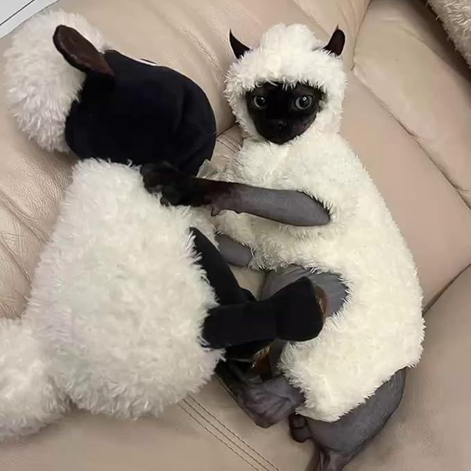 Warm Fleece Lined Winter Clothing for Sphynx & Devon Rex Cats | Soft Faux Lamb Wool | Cozy and Comfortable (Sheep Costume,XXL 4.5-5.5 kg)
