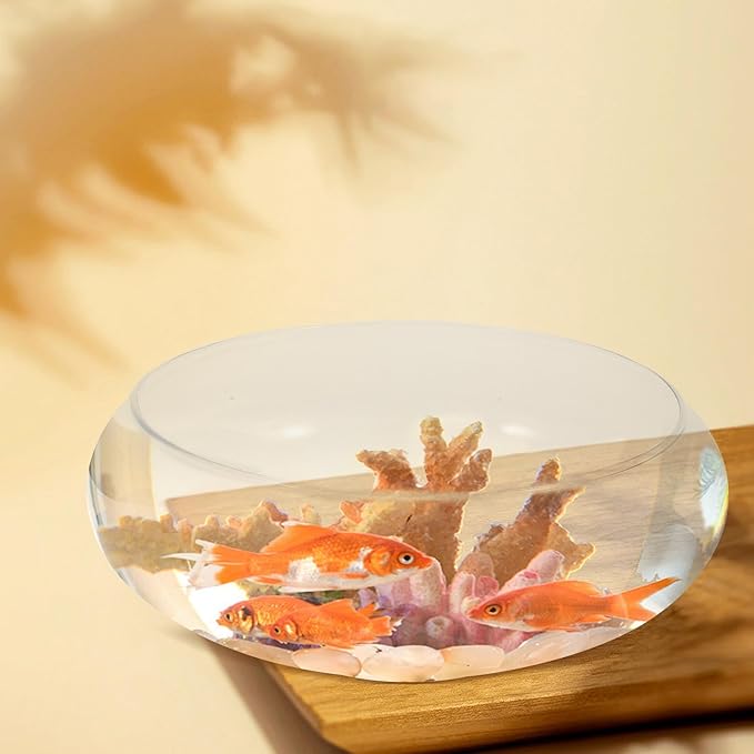 Zerodeko 1PC Glass Fish Bowl, Hydroponic Plant Pot Lotus Hydroponic Container Clear Glass Fish Tank Small Fish Tank Glass Round Aquarium for Goldfish Betta