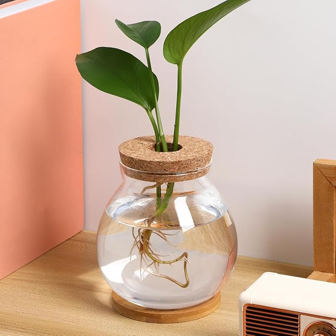 Balacoo Desktop Hydroponic Fish Bowl - Clear Glass Fish Tank with Bamboo Cushion and Wood Lid, Small Betta Fish Plants Terrarium for Home and Office Plant Decoration