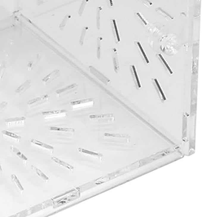 Aquarium Breeder Box, Acrylic Transparent Fish Breeding Box Hatchery Incubator Aquarium Isolation Box(10CM*10CM*10CM)