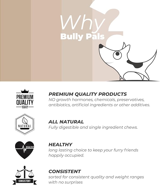 12 inch Thick Bully Sticks for Medium to Large Dogs - 10 Pack - Long Lasting, All Natural, Single Ingredient, Easily Digestible, Beef Dog Treats and Rawhide Free Dental Chews for Dogs