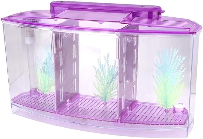 Three Areas Acrylic Small Aquarium, Mini Fish Tank, for Betta for Small Fishes(Purple)