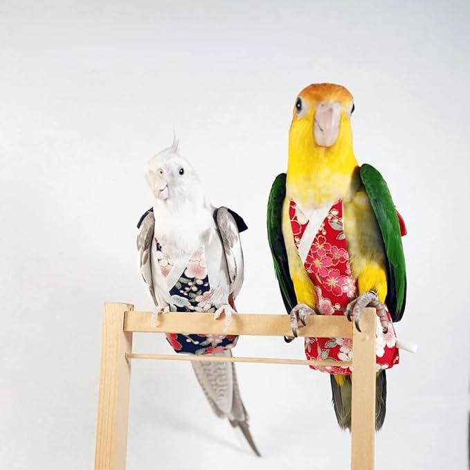 Bird Flight Suit Diapers for Monk Parakeets, Cockatiels - Parrot Clothes, Training Nappy Suit Liners (Medium, Red-A)