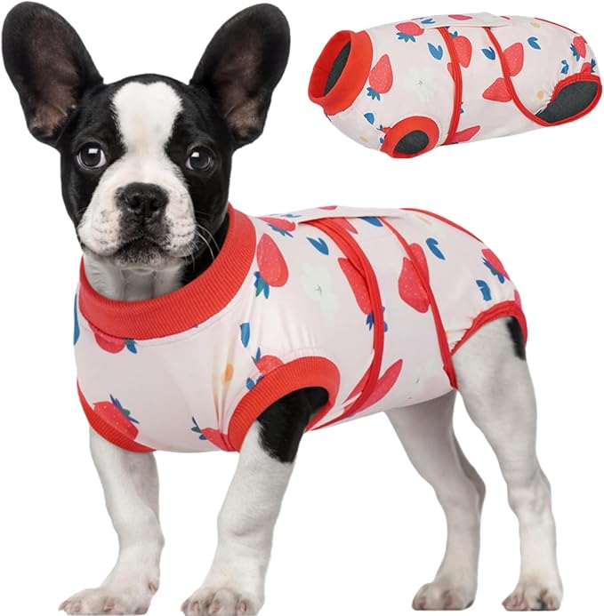 Kuoser Recovery Suit for Dogs After Surgery, Dog Surgical Recovery Suit Female Male Spay Neuter, Anti-Licking Dog Onesie for Abdominal Wounds Skin Disease, Pet Surgery Bodysuit Cone Alternative, XS