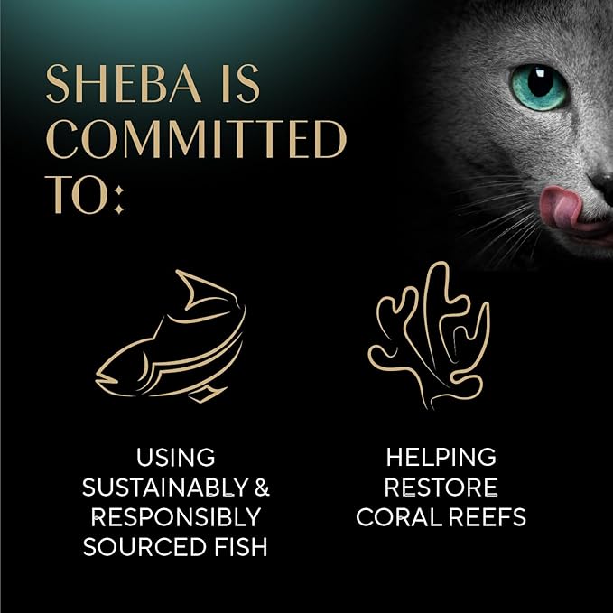 Sheba Selections Filets in Broth, Adult Cat Food Wet Recipe, Meal Complement, Chicken Recipe, 1.3 oz. Cups, 12 Count