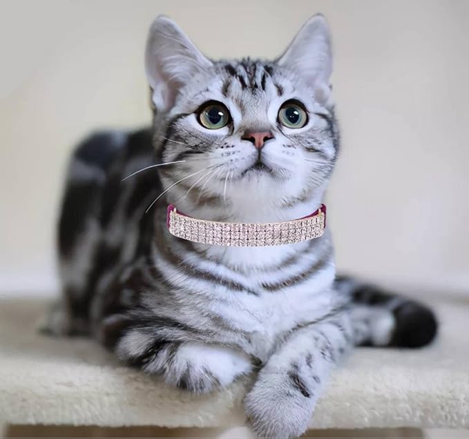 THAIN Rhinestones Cat Dog Collar Soft Velvet Safe Adjustable Collar Bling Diamante with Bells, 8-11 inch for Small Dogs and Cats (Purple)