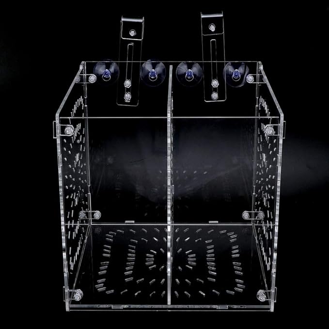 Fish Tank Breeding Box Acrylic Isolation Incubation, Adjustable Height, Transparent - Durable Material, Stable Attachment, Ideal for Aggressive and Sick Fish (20MC *20CM*20CM)