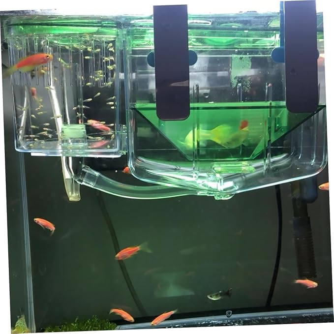 Self-Guided Fish Breeding Tank Isolation Box for Juvenile Fish Transparent Design for Easy Observation