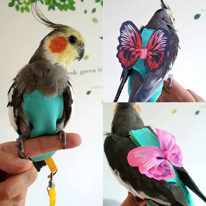 2 Pcs Bird Diaper Harness Flight Suit with Waterproof Liner Pet Bird Nappy Clothes with Flying Leash Rope Protective Parrot Diaper Suit (2 Pcs Multi, Small)