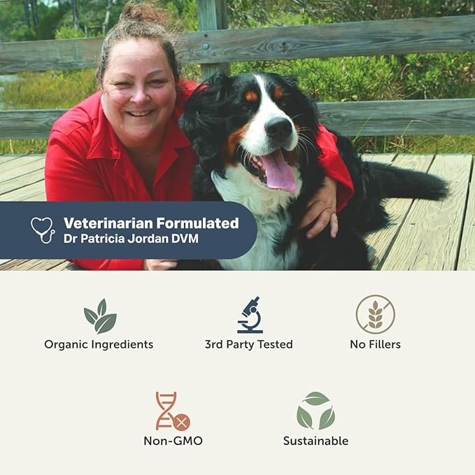 Hip & Joint - Joint Supplement for Dogs with Green Lipped Mussel, Eggshell Membrane and Curcumin - Veterinarian Formulated - 60 Day Large Dog Supply