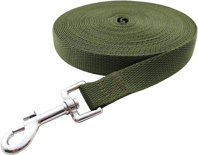 Nylon Training Dog Leash for Small Medium Large Dogs, 15ft 20ft 30ft 50ft Long Leash Dog/Puppy Lead for Obedience Recall Training, Camping (1" x 20ft, Green)