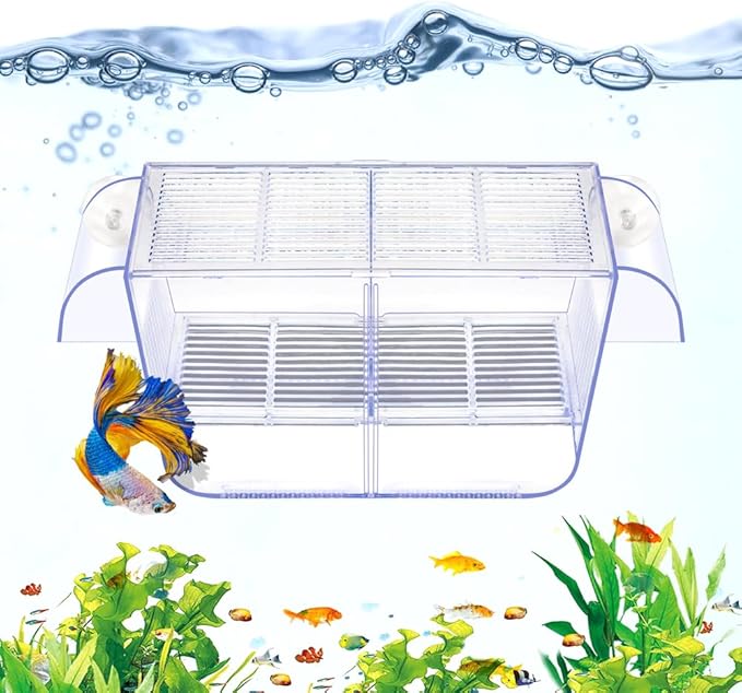 Fish Breeding Box Aquarium Holding Tank Transparent Fish Isolation Box Acclimation Hatchery Incubator Breeder for Betta Shrimp Clownfish Guppy(Size L)