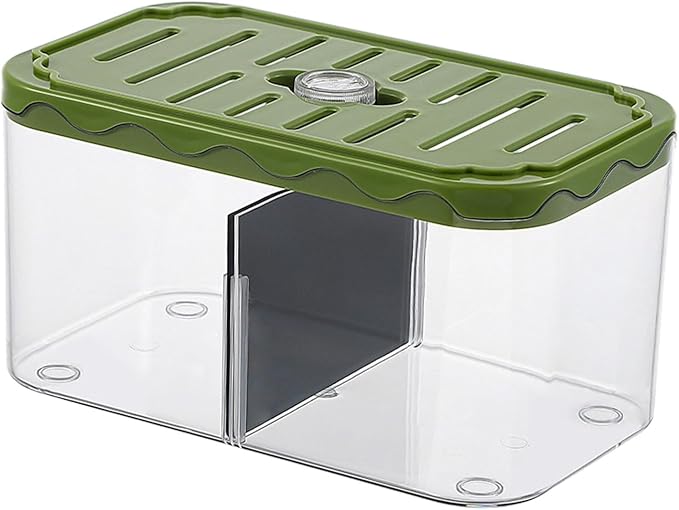 Small Fish Tank Aquarium Breeding Box Table Centerpieces Box Acclimation Hatchery for Fishes, Green