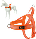 Plutus Pet No Pull Dog Harness with Breathable Mesh Padded, Adjustable Reflective Escape Proof Dog Harness, Quick Fit Dog Vest Harness for Small Medium Large Dogs(L, Orange)