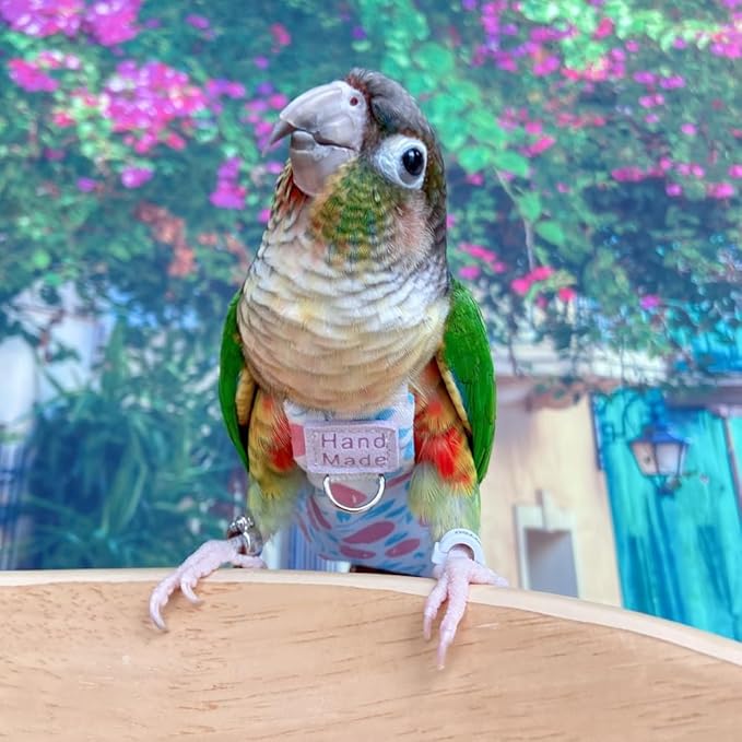 Bird Clothes Parrot Diapers Bird Flight Suits, Reusable Waterproof Diapers pet Bird Supplies (with Rope, 2M)