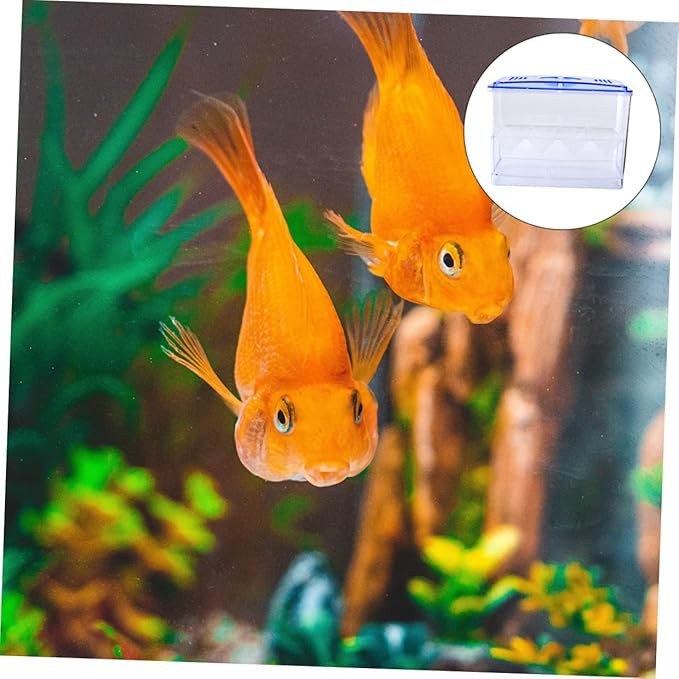 1pc Small Fish Breeding Tank Breathing Freestanding Self-Floating Isolation Box for Hatching and Incubation of Fish Fry