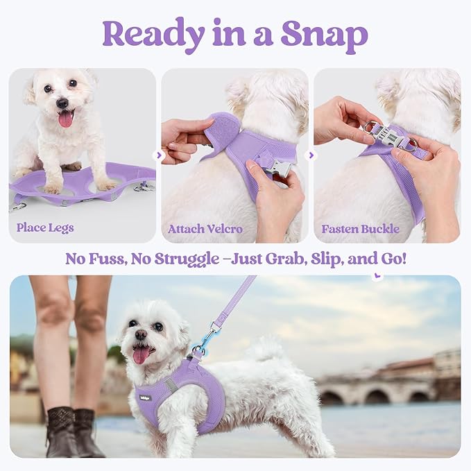 rabbitgoo Dog Harness Small Sized and Leash Set, Step in Soft Light Puppy Vest, Breathable Mesh Pet Harness, Reflective for Safe Easy Walking, Light Purple M