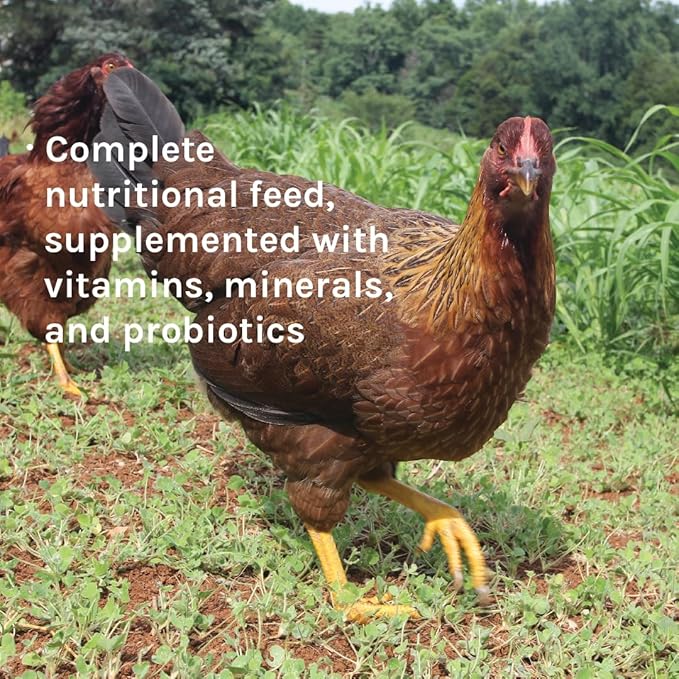 New Country Organics | Unmilled Layer Feed for Laying Hens | Soy-Free | 17% Protein | Certified Organic and Non-GMO | Great for Fermenting | 40 lbs Bag