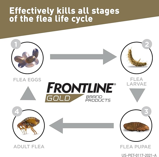 FRONTLINE Gold Flea & Tick Treatment for Medium Dogs Up to 23 to 44 lbs., Pack of 3