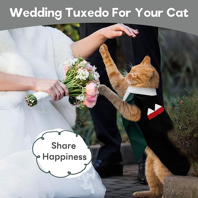 Cat Tuxedo Suit, Stylish Cat Tuxedo Outfit Formal Suit, Kitten Formal Attire Wedding Birthday Onesie Costume for Male Girl Hairless Cats, Pet Fashion Apparel Fancy Clothes, Grey, 2XL