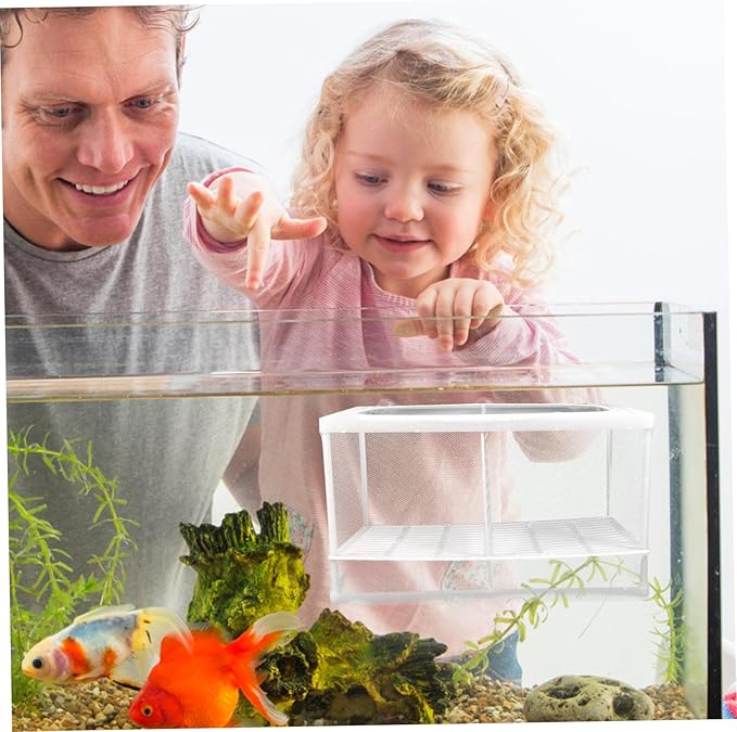 GANAZONO 2pcs Fish Hatchery Boxes Isolated Breeding Tank Large Capacity Suction Cup Design Easy Installation Random Style