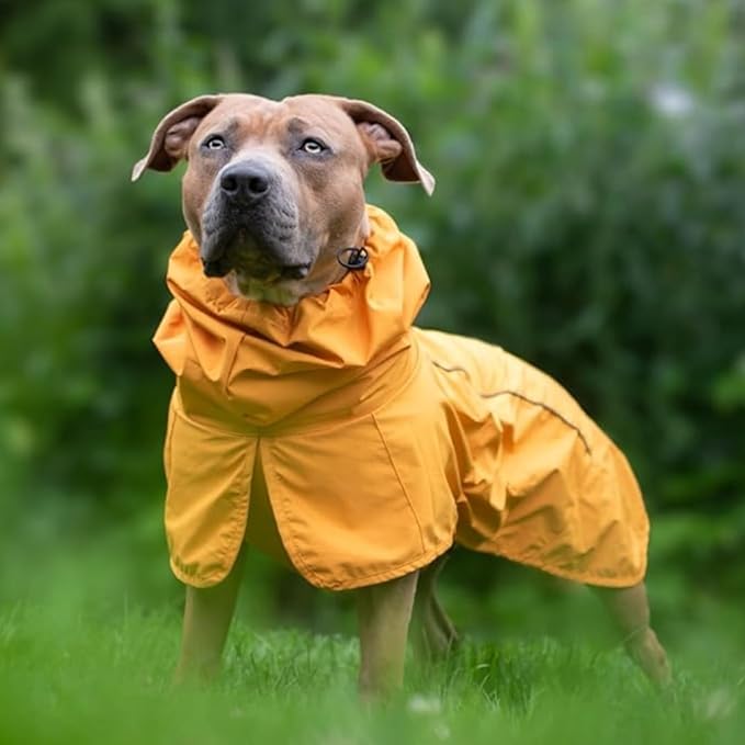 Spark Paws Dog Raincoat, Waterproof Windproof Rain Jacket, for Small Medium Large Extra Large Dogs, Reflective Breathable Full-Body Coverage Dry Suit - Mustard Yellow - 2XL
