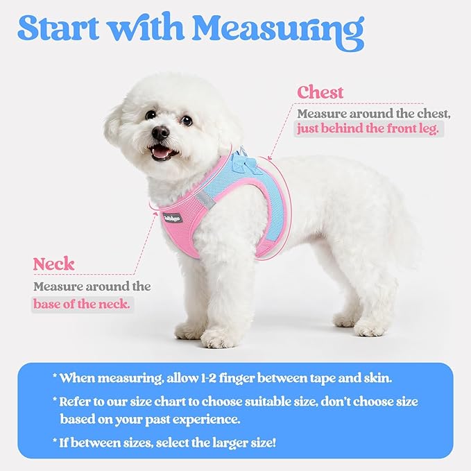 rabbitgoo Dog Harness Small Sized and Leash Set, Step in Soft Light Puppy Vest, Breathable Mesh Pet Harness, Reflective for Safe Easy Walking, Blue & Light Pink XS