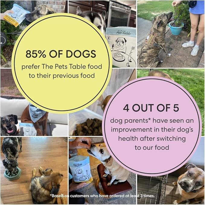 The Pets Table Air Dried Grain Free Dog Food for Dogs Large, Medium and Small | Puppy Dog Food, Adult Dog Food, Senior Dog Food | Beef & Berries 4.5 lbs / 72 oz Bag
