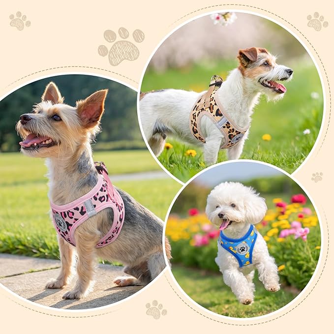 BEAUTYZOO Step in Dog Harness and Leash Set,Reflective Dog Harness No Pull No Choke Puppy Harness for Small Medium Large Dogs Cats,Soft Padded Mesh Vest Harnesses for Girl and Boy Pets, Leopard Pink S