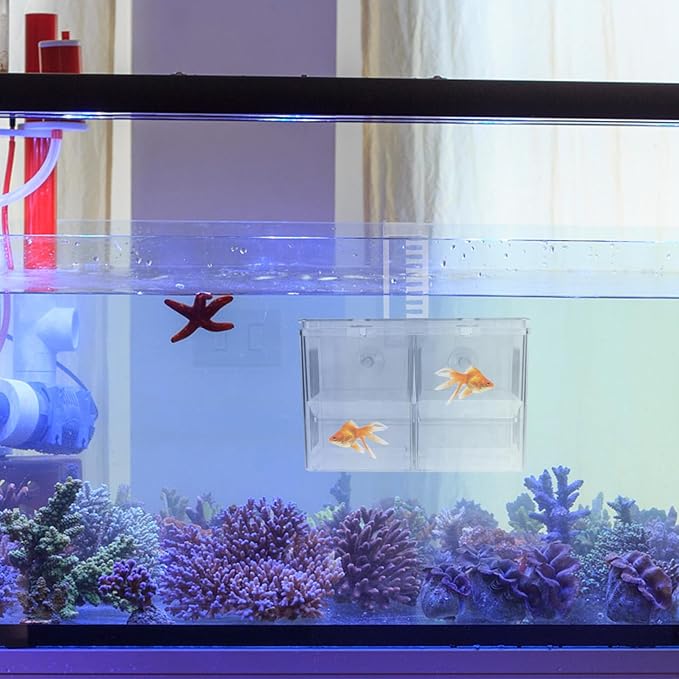 Kisangel Fish Breeding Style Incubator Tank for Tropical Fish Pe Material Aquarium Fry Isolation to Install