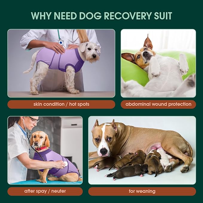 Kuoser Recovery Suit for Dogs After Surgery, Soft Dog Surgery Suit Female Male, Breathable Pet Surgical Recovery Shirt, Anti Licking Dog Onesie for Abdominal Wounds Cone Alternatives, Purple S