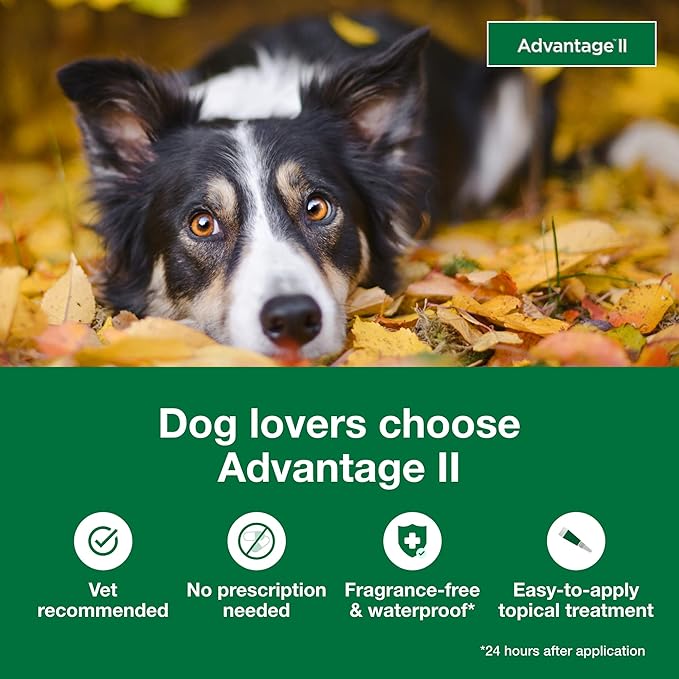 Advantage II Large Dog, 6 pack